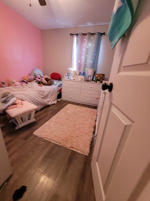 This is a lilttle girls bedroom we did in Pottsville pa call for a free quote today