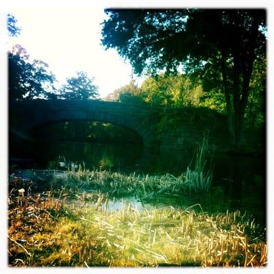 Marshy bridge along the 16/17. Caution: Geese and sprinklers!