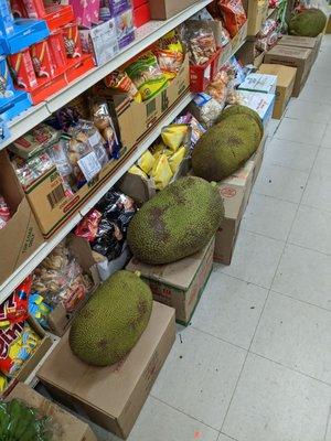 Jackfruit