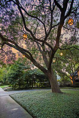 Hanging lanterns