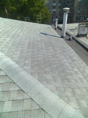 Shingle Roof