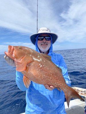 Big grouper!