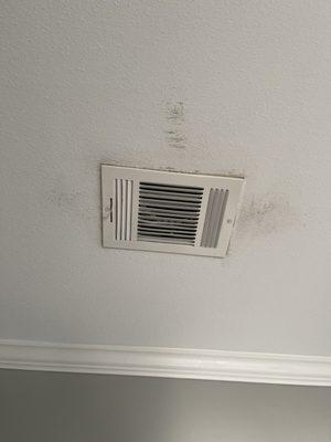 Another example of their work, one month after they cleaned our ducts