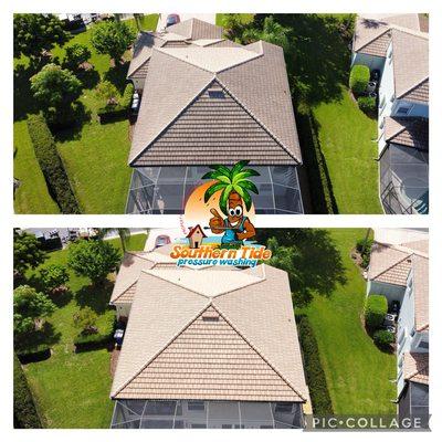 Fort myers Soft wash roof cleaning