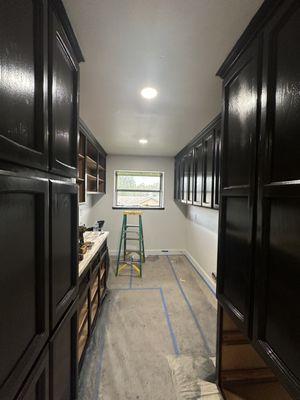 Cabinets paint