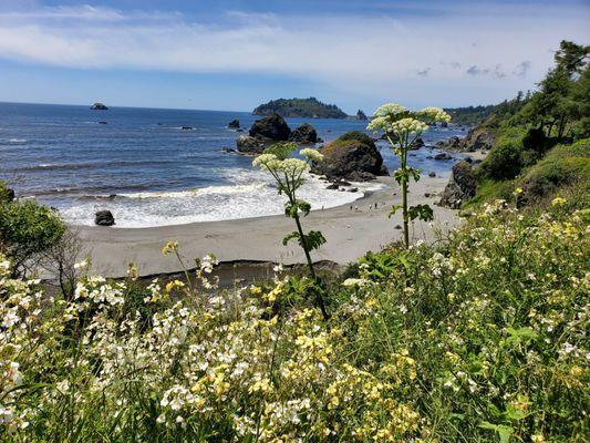 Luffenholtz Beach Park