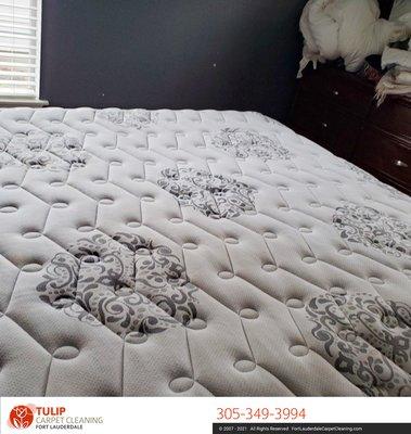 Steam mattress cleaning