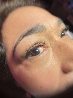 Classics lash extensions