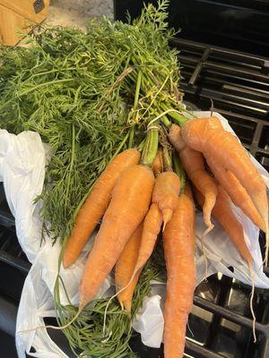 Home grown carrots 3$ a bundle