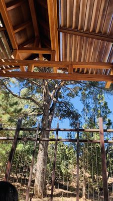 Souji view of the trees and sky from the bath