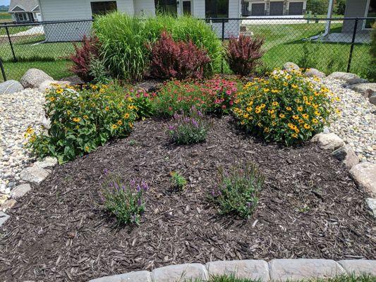 Perennial garden after one year.... thriving