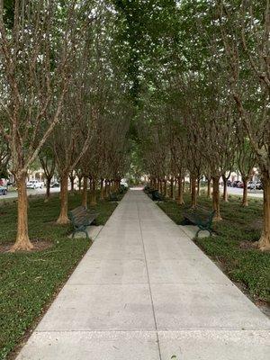 Walkway and bench seating under tree canopy