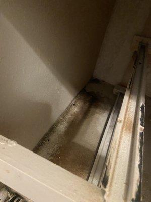 Water damage and mold