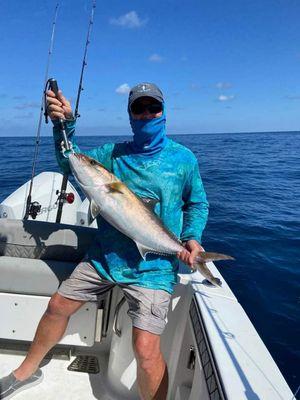 Amberjack