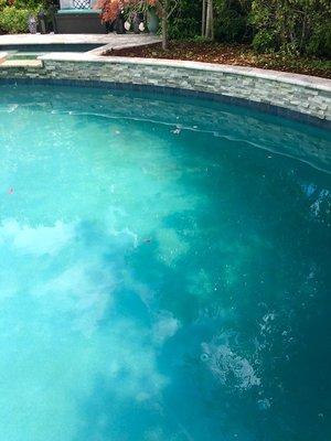 Green tinge to our pool (especially along the right side of photo) the bottom, the sides, light fixture and the tile.