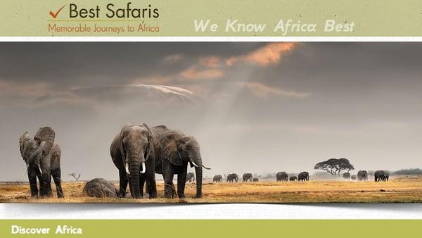 Best Safaris | Memorable Journeys to Africa