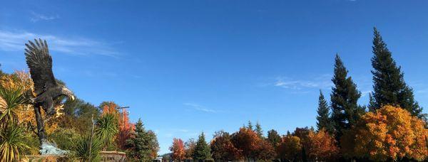 Douglas Van Howd's iconic bronze Eagle monument with clear blue skies and fall foliage.