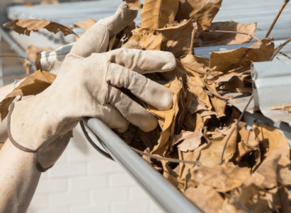 gutter cleaning