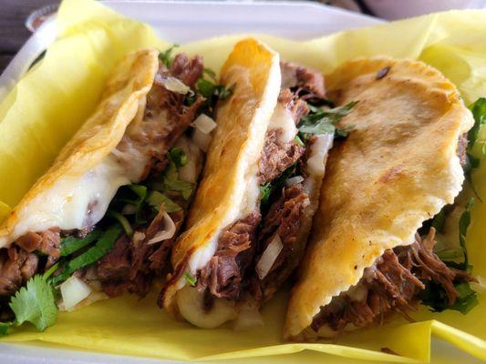 tortillas! Beef birria!