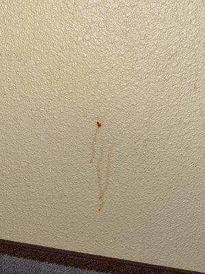 The blood stain on the wall