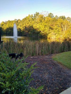 By the lake