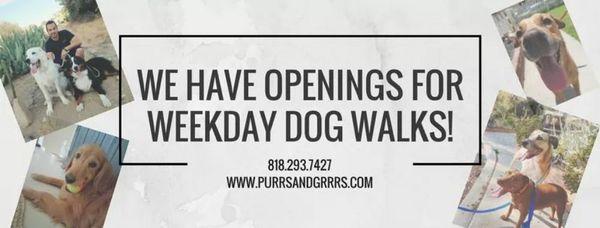 Purrs & Grrrs would love to be part of the care team for your pup! We can walk/socialize/exercise your dog while you work or have long hours