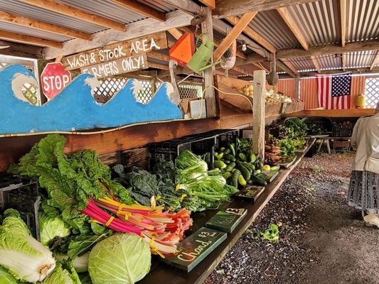 Veggies for sale picked same day on site