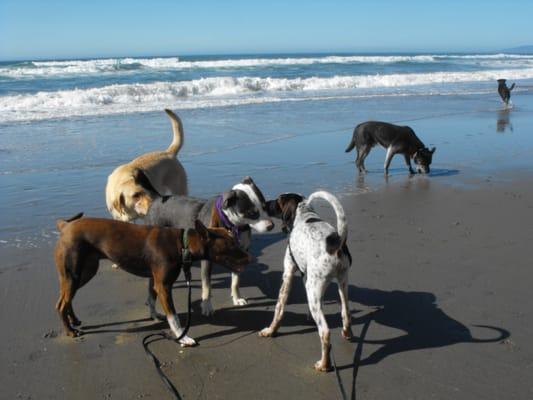 Playing on the beach:)