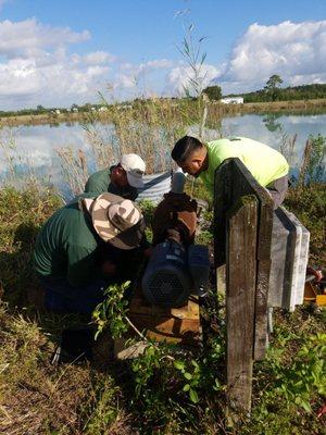 On site diagnosis of  pump motor.