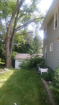 Did trimming along the side of the house and roof