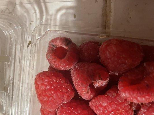 Moldy raspberries