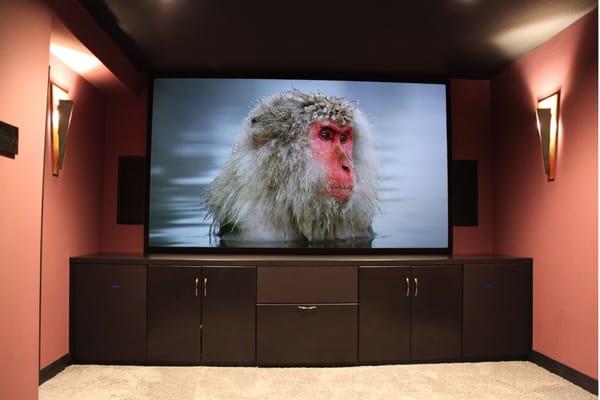 Nextec Home Theater Services Duluth MN