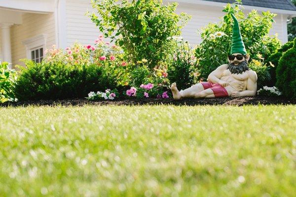 Lawn Doctor of Madison-Decatur