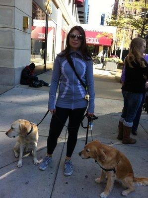 Jenna( owner) walking dogs in River North!