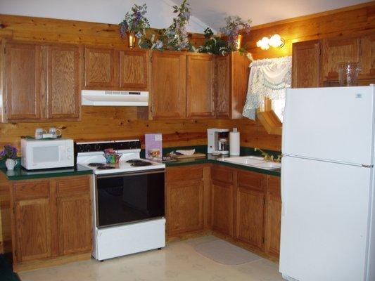 Woodland Violets Fully Furnished Kitchen