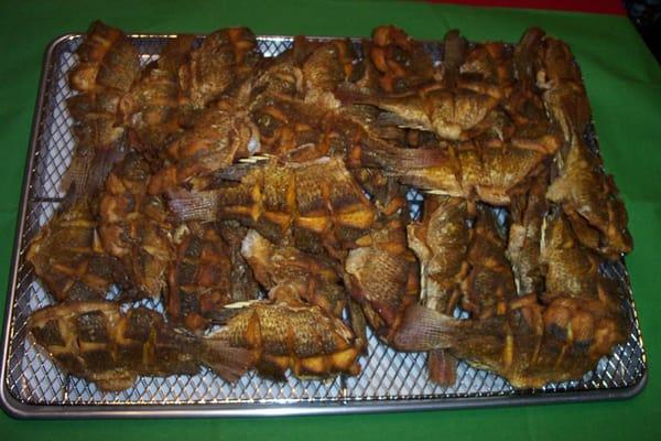 Deep fried  Tilapia