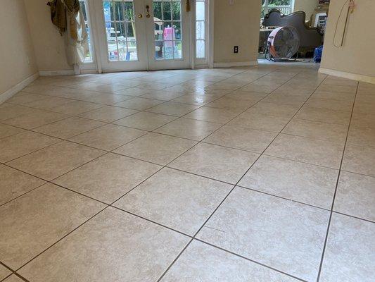 Clean and grout sealer