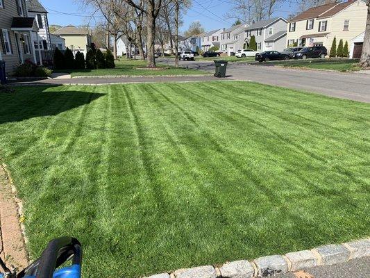 Lawn maintenance in Clark NJ.