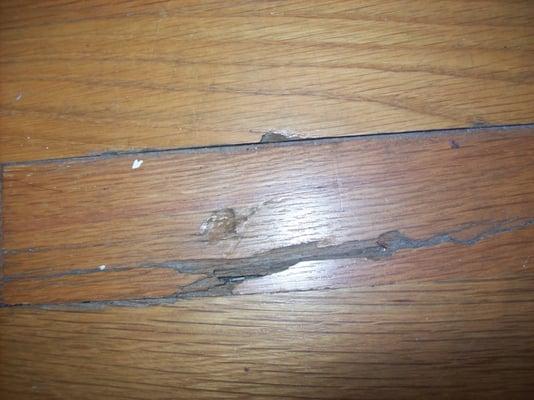 This hole was in my floor when i moved in and was never fixed.