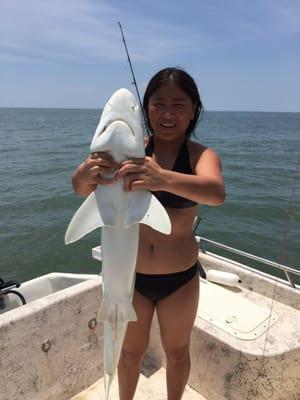 Shark fishing with Avid Angling.