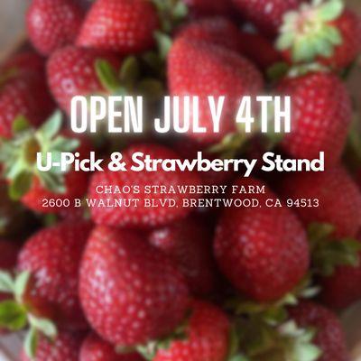 We are open on 4th of July :)