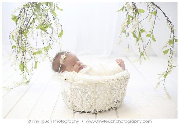 1 week old newborn portraits by Tiny Touch Photography.