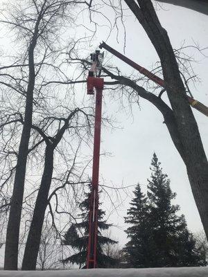 Jeffries Tree Removal