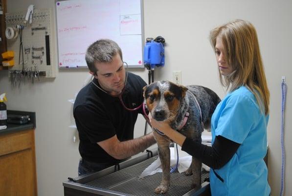 Bowman Road Animal Clinic