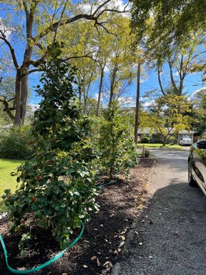 Rutgers Landscape & Nursery