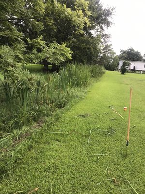 Long ditch in Dularge and along bayou needed assistance bad