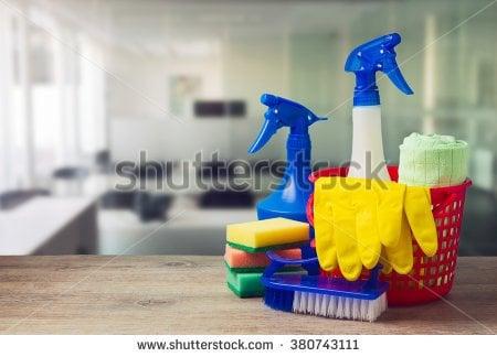 Wise Cleaning Co