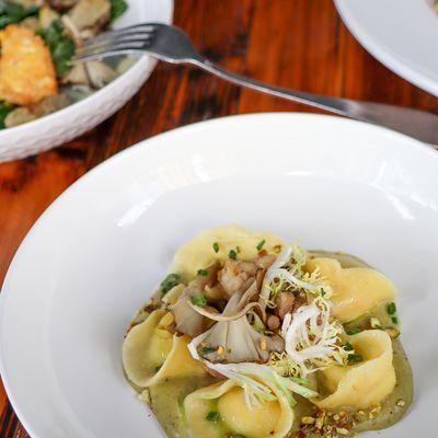 Taleggio cappelletti with sweetbread, maitake mushrooms, and pistachio cream