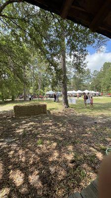 Jubilee Orchards