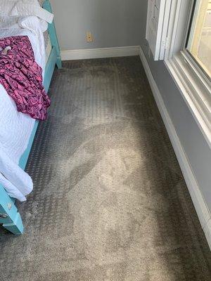 Coastal Carpet & Tile Cleaning